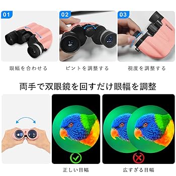 コンサートやライブ専用 双眼鏡 10倍 オペラグラス メガネ対応 コンパクト 楽天市場】【楽天ランキング1位獲得】双眼鏡 コンサート 10倍